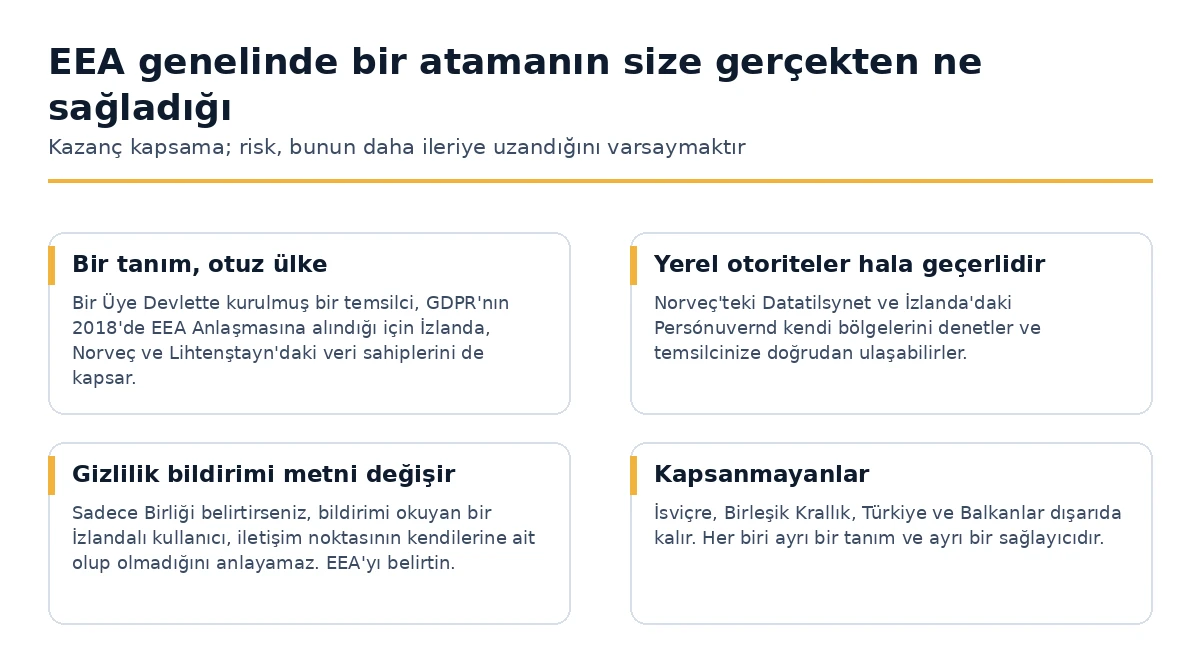 EEA genelinde bir 27. Madde atamasının sağladığı ve sağlamadığı şeyler