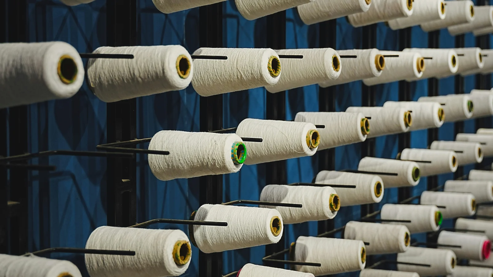 Raw materials covered by the EU deforestation regulation