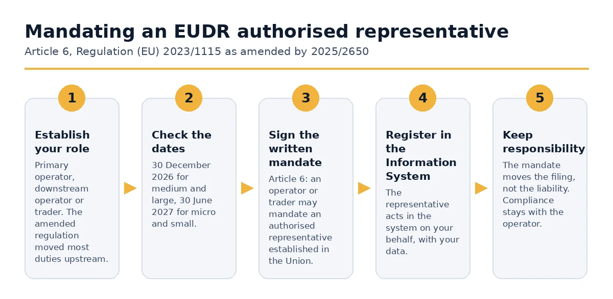 The five steps to mandate an authorised representative under Article 6 EUDR