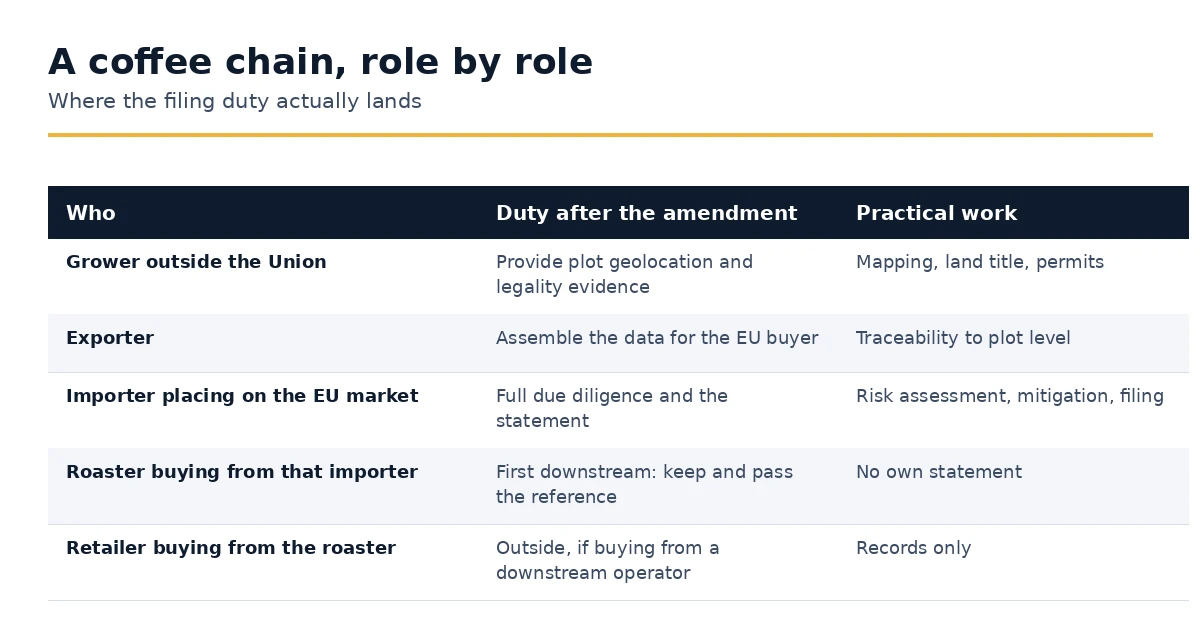 Where the EUDR filing duty lands along a coffee supply chain