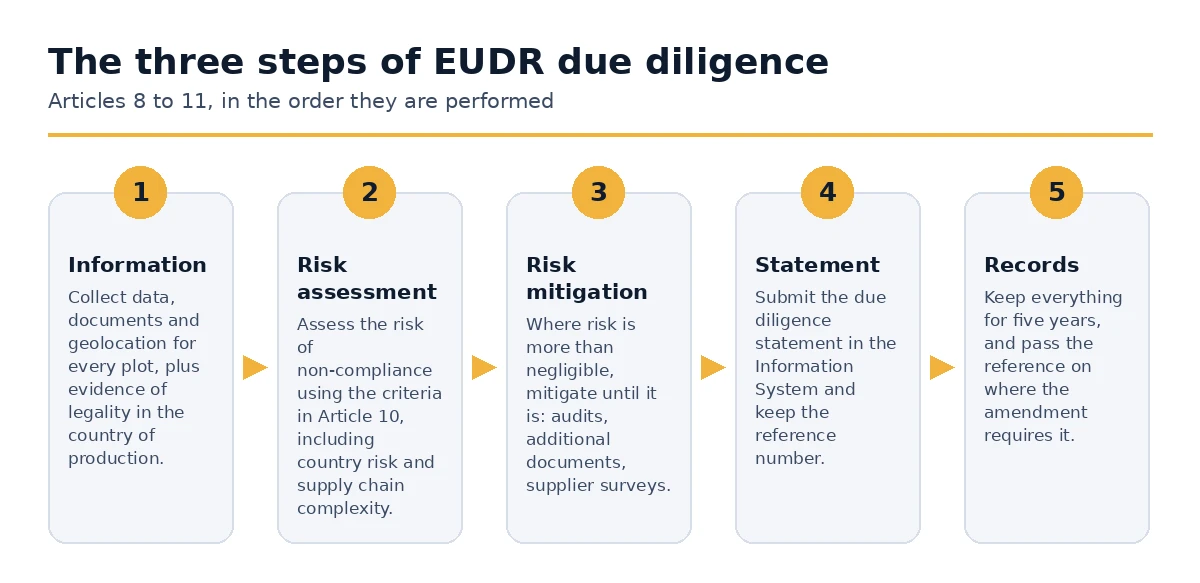 Information, risk assessment and risk mitigation before an EUDR statement is filed