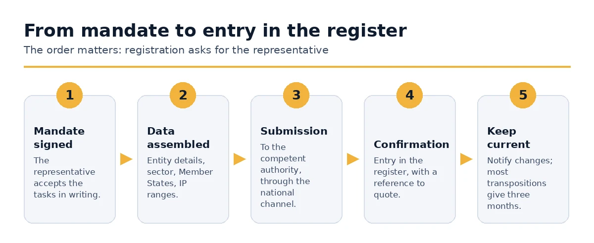 The sequence from signing the mandate to being entered in the NIS2 register