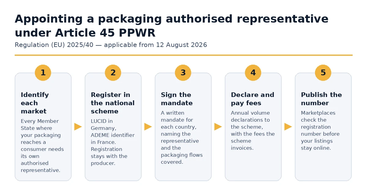 The five steps to appoint a packaging authorised representative under Article 45 PPWR