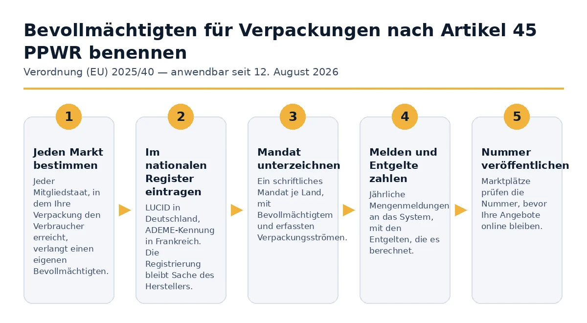 Die fünf Schritte zur Ernennung eines bevollmächtigten Vertreters für Verpackungen gemäß Artikel 45 PPWR