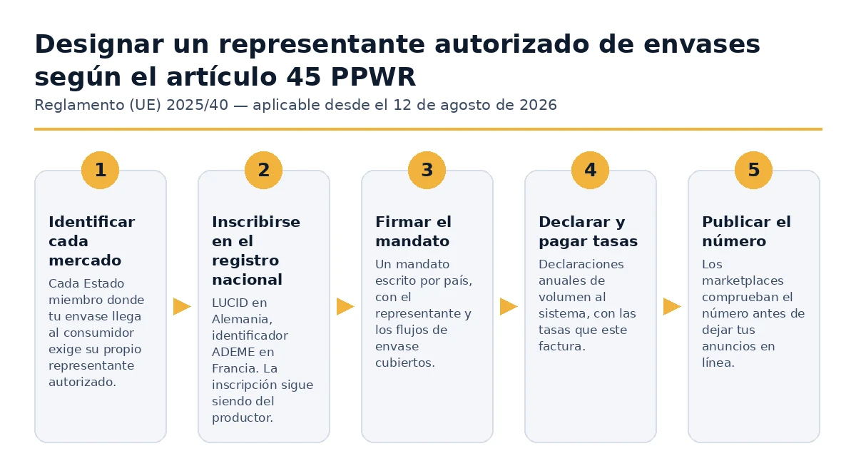 Los cinco pasos para nombrar un representante autorizado de envases bajo el Artículo 45 PPWR.