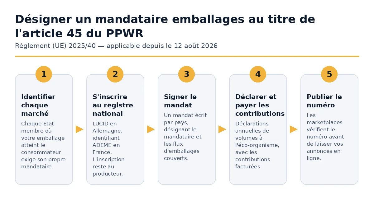 Les cinq étapes pour nommer un représentant autorisé en matière d'emballage en vertu de l'article 45 PPWR