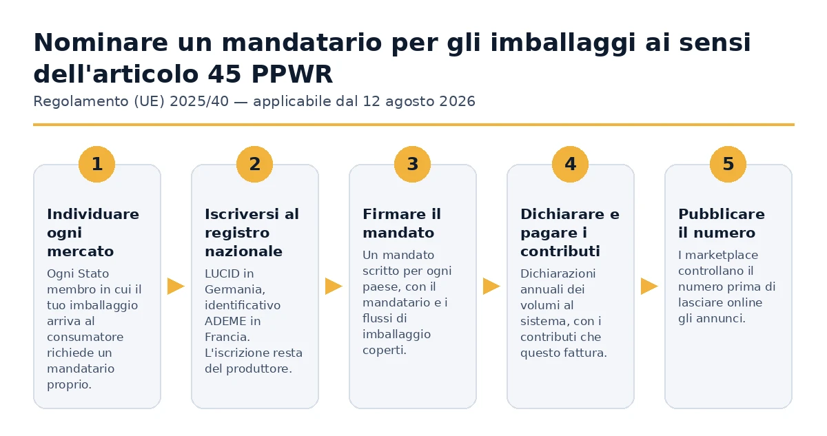 I cinque passaggi per nominare un rappresentante autorizzato per l'imballaggio ai sensi dell'Articolo 45 PPWR