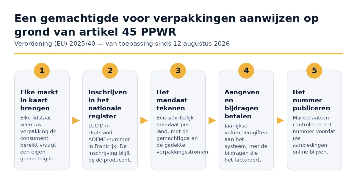 De vijf stappen om een gemachtigde vertegenwoordiger voor verpakking aan te stellen onder Artikel 45 PPWR