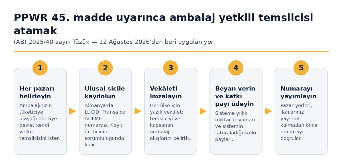 Madde 45 PPWR uyarınca bir ambalaj yetkili temsilcisi atamak için beş adım